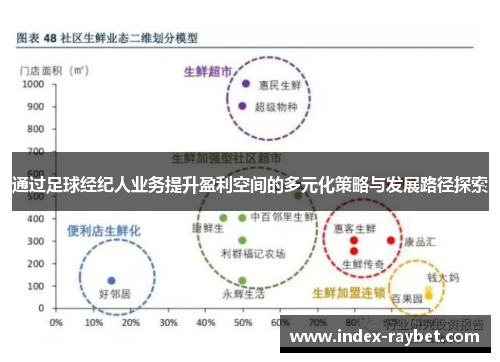 通过足球经纪人业务提升盈利空间的多元化策略与发展路径探索