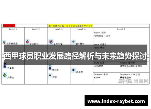 西甲球员职业发展路径解析与未来趋势探讨