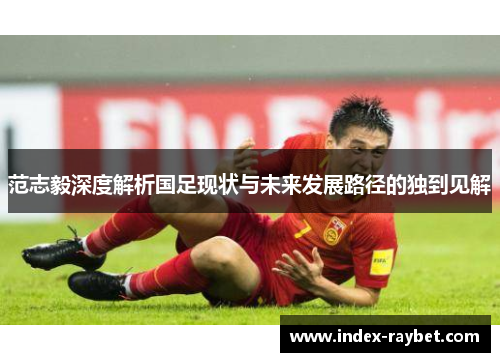 范志毅深度解析国足现状与未来发展路径的独到见解