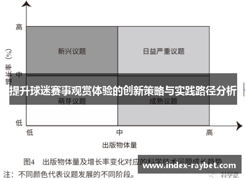 提升球迷赛事观赏体验的创新策略与实践路径分析