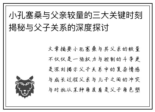 小孔塞桑与父亲较量的三大关键时刻揭秘与父子关系的深度探讨