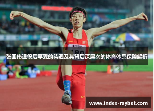 张国伟退役后享受的待遇及其背后深层次的体育体系保障解析