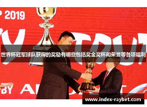 世界杯冠军球队获得的奖励有哪些包括奖金奖杯和荣誉等各项福利