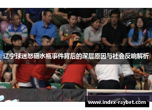 辽宁球迷怒砸水瓶事件背后的深层原因与社会反响解析